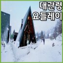 대관령 요들레이펜션 이미지