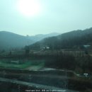 교촌치킨 사북고한점 이미지