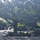 계산관광지 | 제주 관광지 추천 산굼부리 10월 억새숲 포토존 솔직 후기후기~! (할인 예매, 휠체어, 주차)