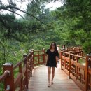 하조대해수욕장 야영장 이미지