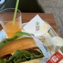 프랭크버거 광주상무점 | 프랭크버거 메뉴 추천 상무지구 프랭크버거 방문 후기