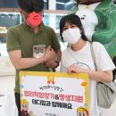 대구고양이분양 테디럽 이미지