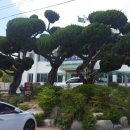 평해읍사무소 이미지