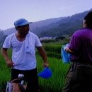 용식농장 이미지