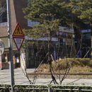 가람약국 이미지