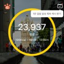 쿠로몬 이미지