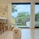 더포레스트 이미지