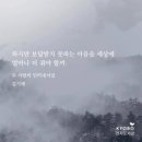 흥천도서관 이미지