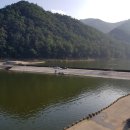 금강4농장 이미지