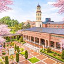 김포 스프링스파 피트니스센터 | 메이필드 호텔 서울 여행지 추천 벚꽃 명소 추천 호캉스 특가