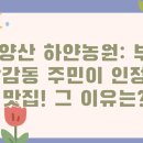 당감점굽네치킨 | 백양산 하얀농원: 부산 당감동 주민이 인정한 맛집! 그 이유는?