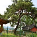 덕곡경로당 | [거창군 마을이야기] 목숨을 걸고 절개를 지킨 최절부의 이야기가 전해지는 거창읍&lt;절부리마을&gt;