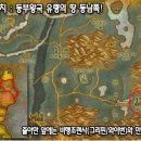 준CD피아 이미지