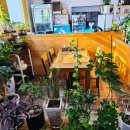 김포양지설렁탕 이미지