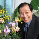 오*식 이미지