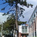 솔밭예술마을 이미지