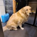 가가호호 오도독 이미지