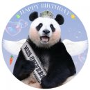 오늘자 10살 생일을 맞이한 이뻐이뻐 아이바오 🐼 이미지