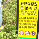 천년의 숲 화장실 이미지