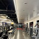 DH웰리스 이미지