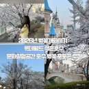 송파나루(문화실험공간 호수) | [잠실] 2026년 벚꽃개화시기 : 롯데월드 석촌호수 문화실험공간 호수 벚꽃 포토존 추천