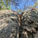 CU 금산 제원로드점 | 충청도가볼만한곳..금산 월영산출렁다리.월영산등산.부엉산등산.강변가든식당에서..2023.02.25
