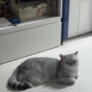 바로덮밥 바로파스타&경양식 민락점