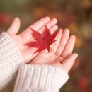 다섯손가락 이미지