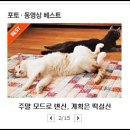 떡실신