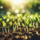 새싹목장 이미지