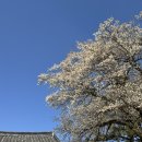 경주천년한우용황점 | [경주 맛집] 경주천년한우 배터지게 먹은 후기(메뉴, 주차)ㅣ경주 정육식당, 가성비 한우 맛집ㅣ내돈내산