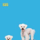 스튜디오509 이미지