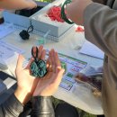 포곡 도시숲 이미지