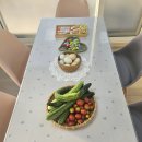 창호민박 | 강진 촌캉스 다산의아침 여름휴가 제대로 힐링되는 민박 숙소