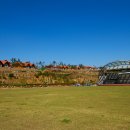 보성녹차리조트 이미지