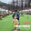 코알라캠핑장 네이버블로그