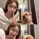 부평우일 | 행복했던 나의 마지막 달 기록