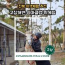 고창해변승마 클럽휘게팜 3번째 외승 체험 후기