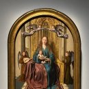 코마시스 이미지