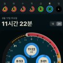 빅영 - 김포시 김포한강11로140번길 107 | 빅영