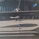 MLXAUTO 네이버블로그