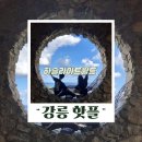 목공들이 만드는 이야기<피노키오> | 강릉 핫플 하슬라아트월드 7가지 매력, 입장권 할인부터 포토존 피노키오 이벤트까지