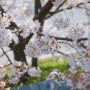 합천농협 봉산지점 이미지