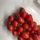 단마토유통