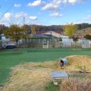 도기도기펜션 이미지