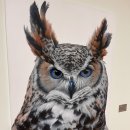 박도우展 ˝보이지 않는˝ | 창원 전시회 경남도립미술관 전시 <지금 경남 미술 : 산 섬 들>