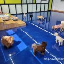 개편한 스쿨 이미지