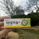 솔약국 | [마데카솔] 종류 총정리｜겔·복합·케어·분말 차이부터 가격까지 내돈내산 후기