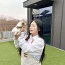 동일애견샵 | 일산강아지분양 책임감있는 애견분양샵
