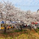 발안천 산책로 이미지